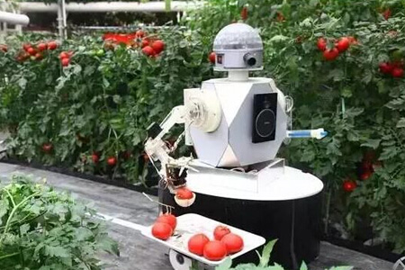 yth游艇会_yth游艇会·首页(欢迎您)