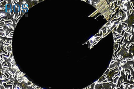 yth游艇会_yth游艇会·首页(欢迎您)